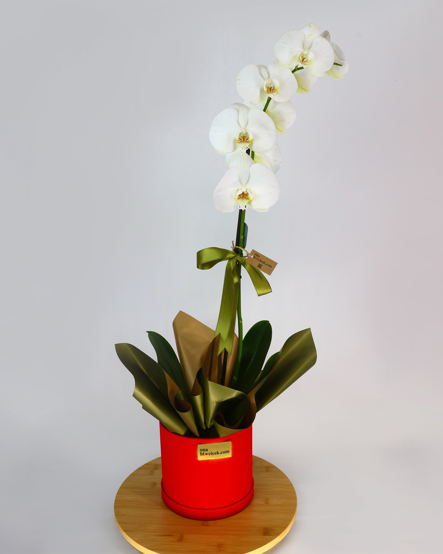 Kırmızı Kutuda Tek Dal Beyaz Orkide