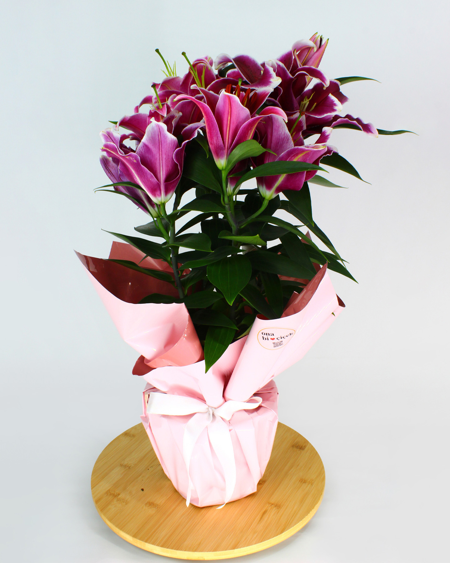 Pembe Lilyum Çiçeği