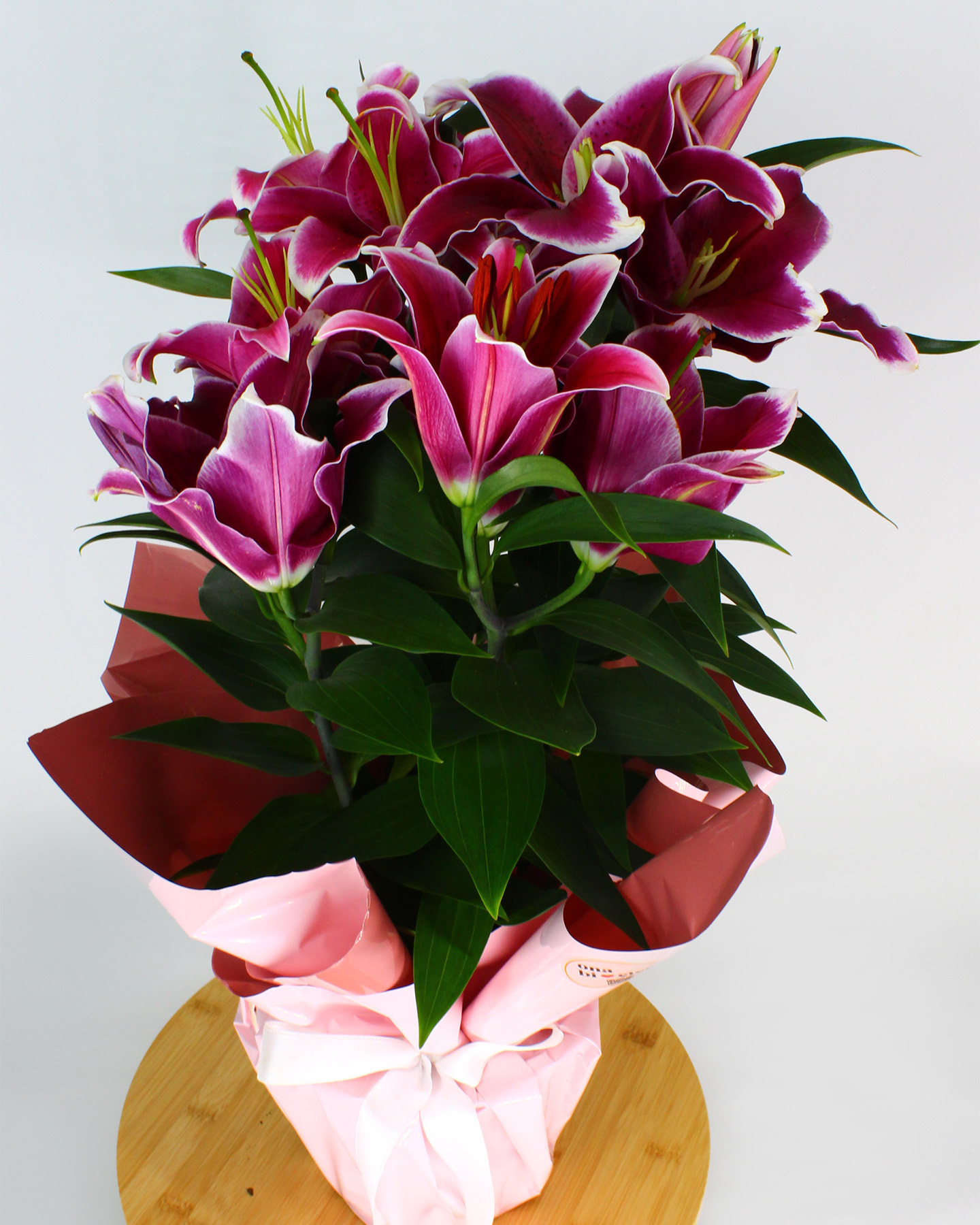 Pembe Lilyum Çiçeği