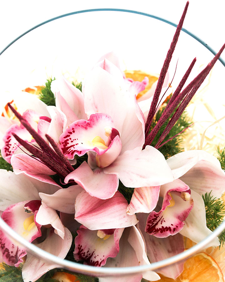 Limonlu Cybidium Orkide Aranjmanı 