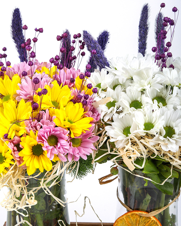 Sarı Ve Beyaz Papatya Coşkusu 